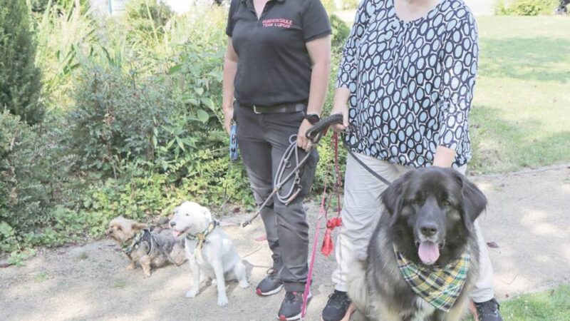 „Patientenfreunde“ in Süchteln: Irmgardis-Krankenhaus ist auf den Hund gekommen