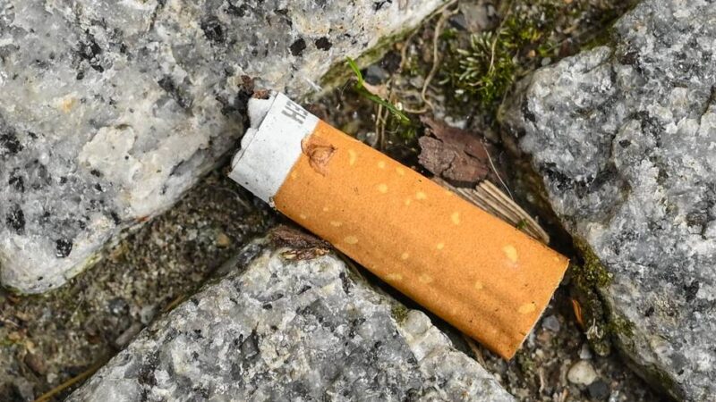 Zigarettenstummel in Grevenbroich: Stadt will Kippen-Problem mit Kreativ-Aschenbechern bekämpfen