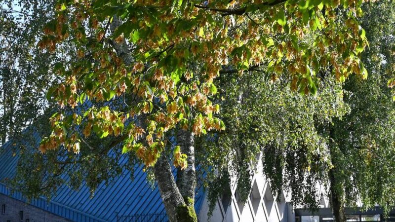 Sozialraumanalyse in Nettetal: Stadt lenkt Blick auf das Speckerfeld