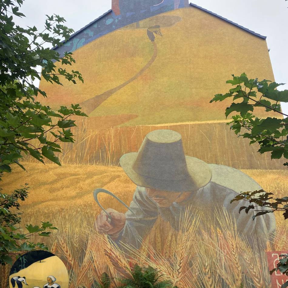 „Walls of Vision“: Weizenernte – auf 150 Quadratmetern in der Duisburger Altstadt