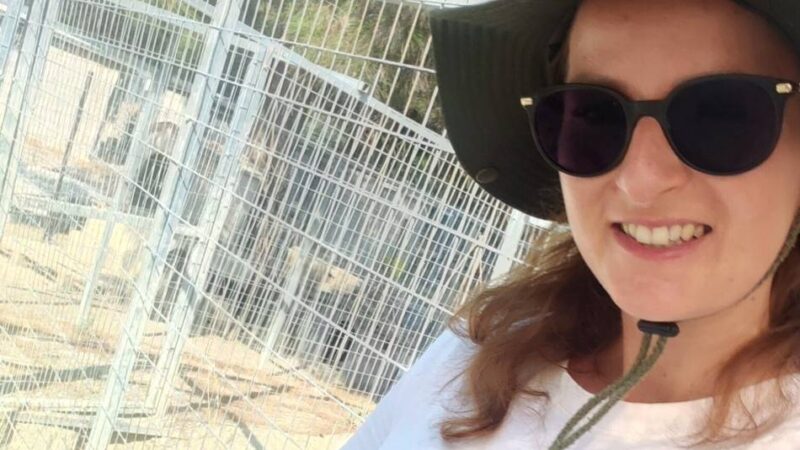 400 Hunde in Auffangstation: „Man darf nicht die Augen verschließen“ – Weselerin im Einsatz für Tiere auf Rhodos