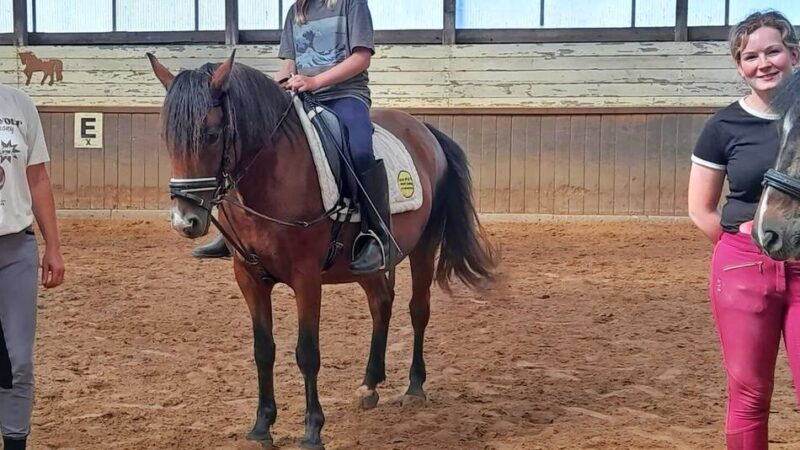 Reitercamp: Sport, Spaß und Gemeinschaft mit Ponys in Wülfrath