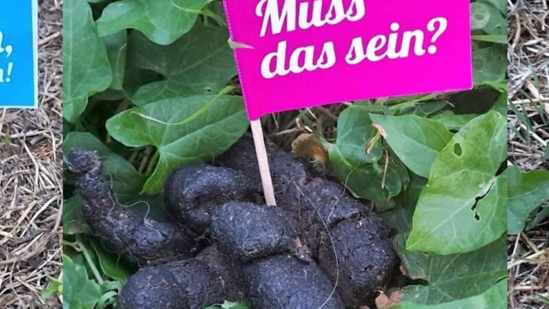 Hundekot an der Kaisermühle: Großer Kampf gegen ein kleines Ärgernis
