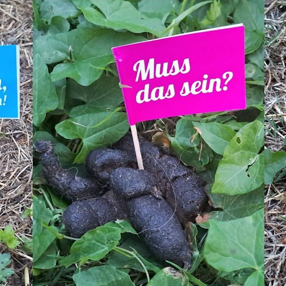 Hundekot an der Kaisermühle: Großer Kampf gegen ein kleines Ärgernis