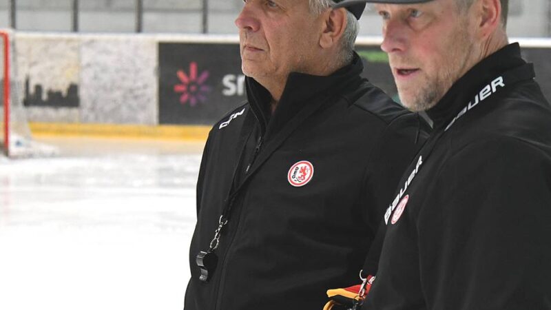 Verschiedene Wege, gleiches Ziel: Diesen Plan verfolgen die neuen Trainer der DEG