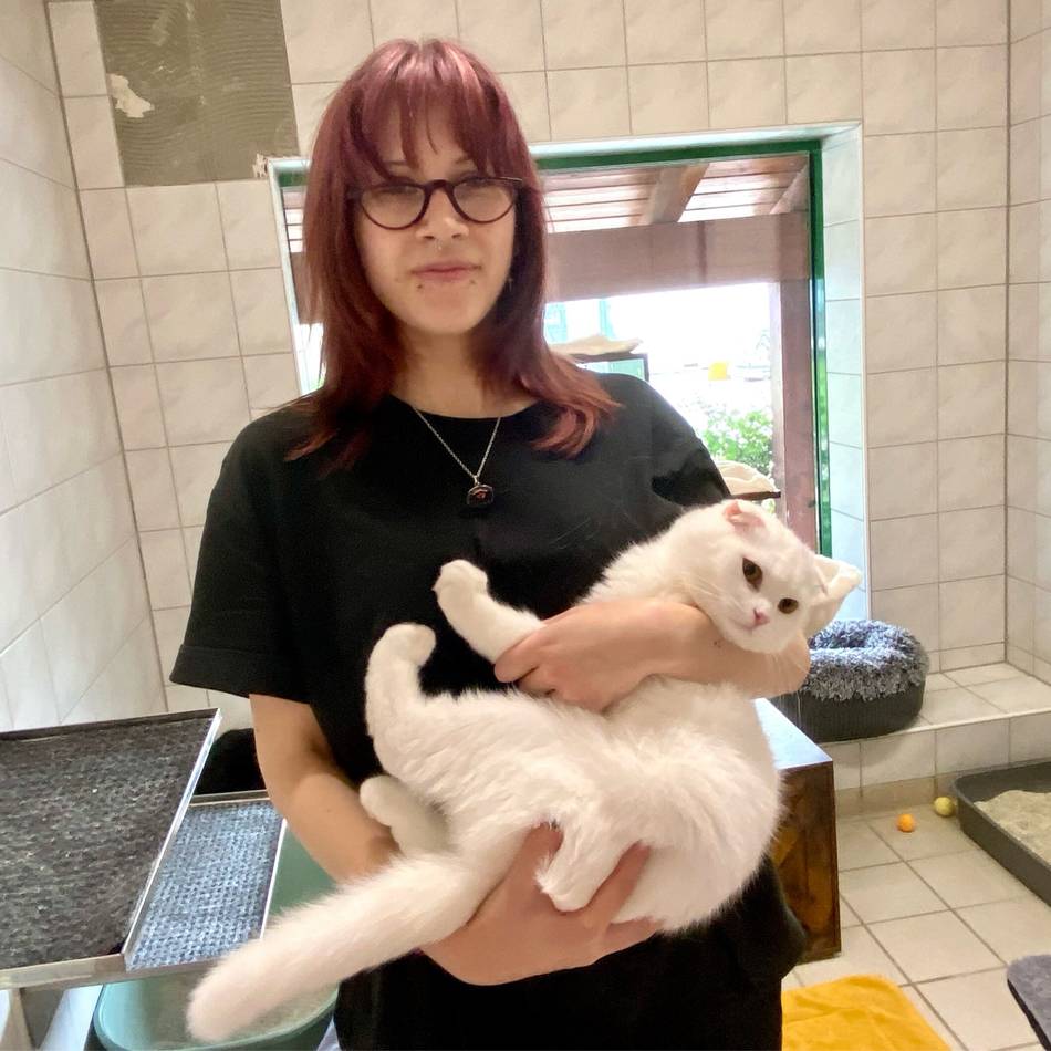 Hunderte Tiere warten auf Besitzer: Flut an Katzen im Düsseldorfer Tierheim – „Befinden uns in absoluter Ausnahmesituation“