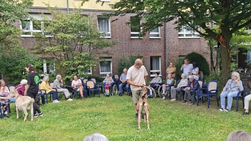Beim Malteserstift in Meerbusch: Ziegen erfreuen Senioren in Lank