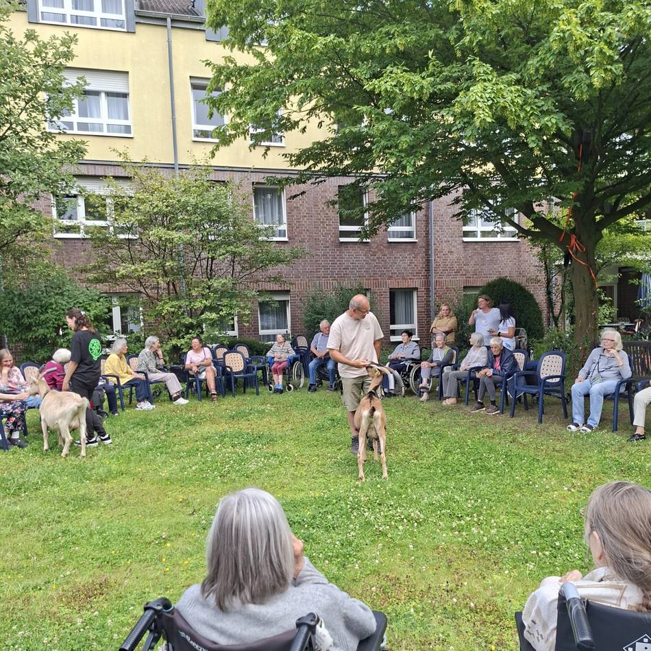 Beim Malteserstift in Meerbusch: Ziegen erfreuen Senioren in Lank