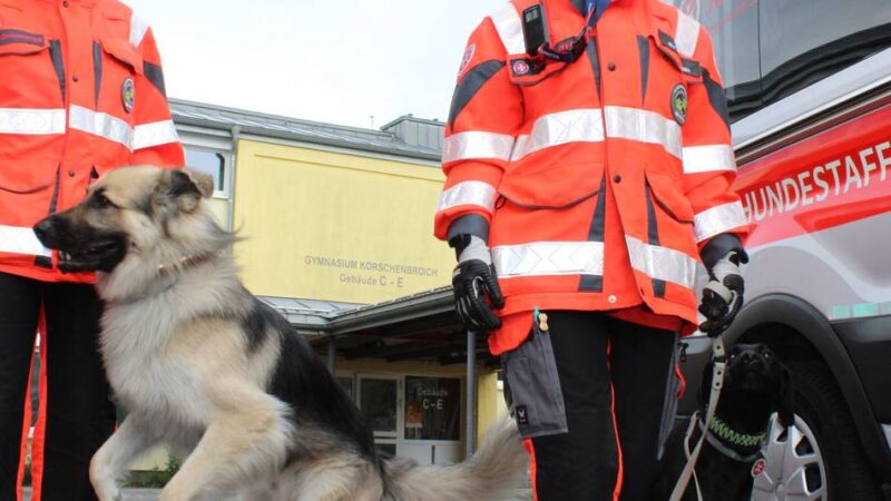 Abrissareal vom Gymnasium Korschenbroich: Hunde suchen Vermisste zwischen Schutt und leeren Räumen