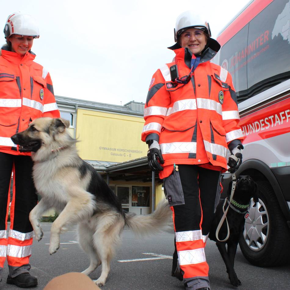 Abrissareal vom Gymnasium Korschenbroich: Hunde suchen Vermisste zwischen Schutt und leeren Räumen