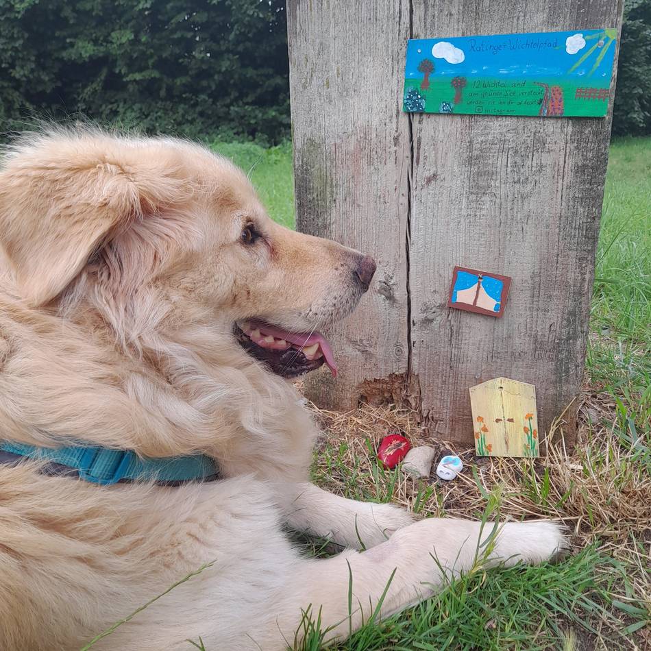 Der Wichtelpfad in Ratingen: Wichtel haben am Grünen See Spuren hinterlassen