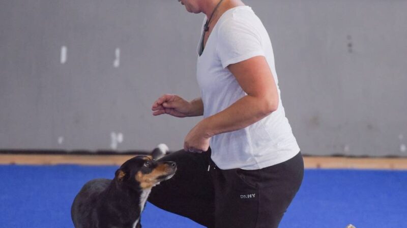 Die mit dem Hund tanzen: Voller Einsatz beim internationalen Dogdance-Turnier in Uedem
