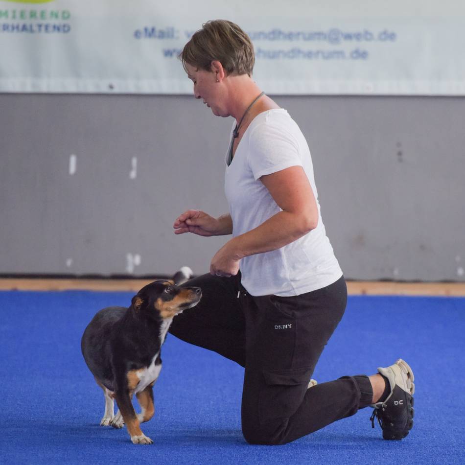 Die mit dem Hund tanzen: Voller Einsatz beim internationalen Dogdance-Turnier in Uedem