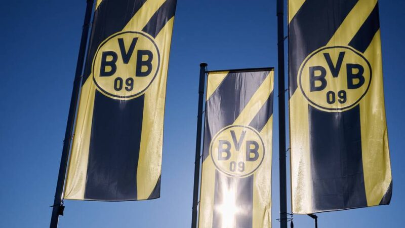Kommunalwahlkampf in NRW: Warum der BVB die Dortmunder AfD abmahnt