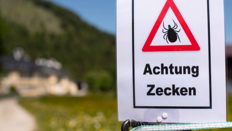 Meerbuscher Arzt gibt Tipps gegen Zecken: „Dann herrscht Lebensgefahr“