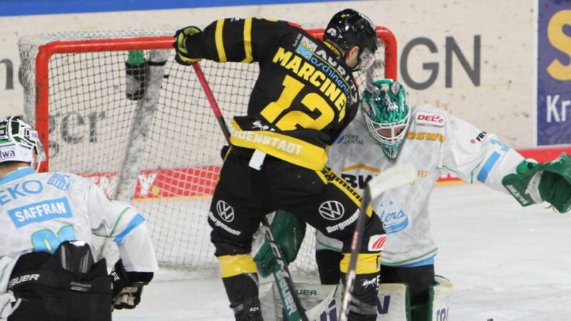 Nach Abschied aus Krefeld: Das ist der neue Verein von Ex-Pinguin Matt Marcinew