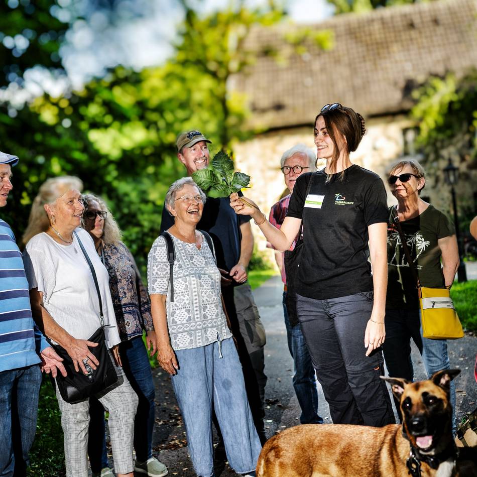 Haus Graven Langenfeld: Bildungszentrum informiert über essbare und giftige Pflanzen am Wegesrand