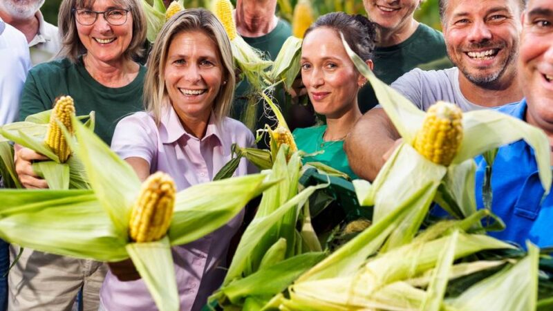 Monheim: Bauer Bossmann spendet Zuckermais an die Oppositionsparteien