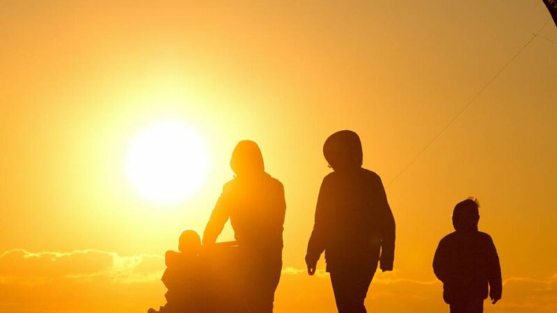 Heiligenhaus setzt auf Zusammenarbeit: Kreis organisiert Adoptionsverfahren auf neue Art
