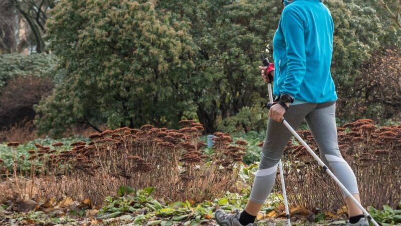 Kurs in Meerbusch: Nordic Walking für Einsteiger mit Theorie und Praxis