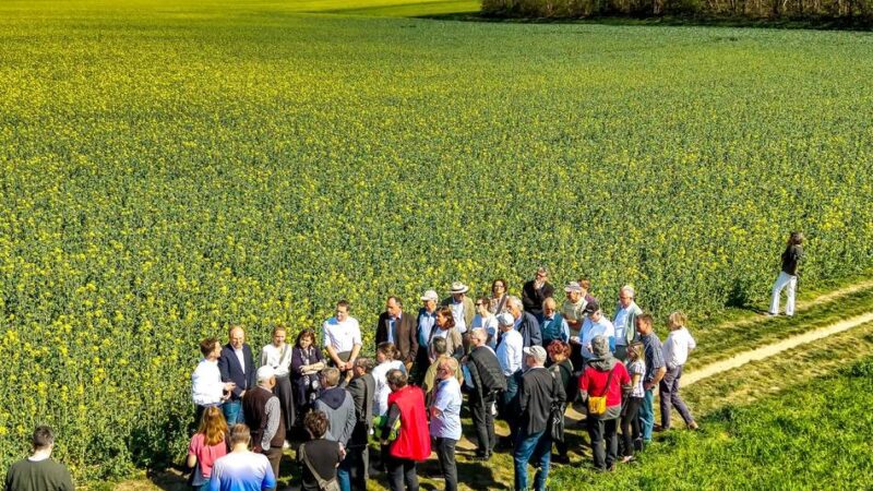 Kritische Stimmen im Netz: Stadt lädt zum Beteiligungsworkshop rund um Bayer-04-Campus ein