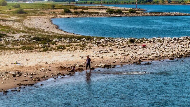 Nach Entscheidung in Düsseldorf: Warum Monheim kein Badeverbot im Rhein ausspricht