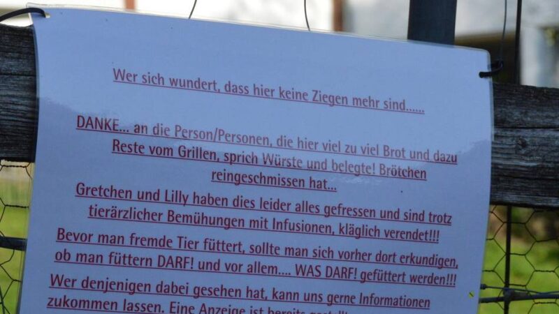 Tragödie im Seniorenpark in Wermelskirchen: Passanten für Tod zweier Ziegen verantwortlich