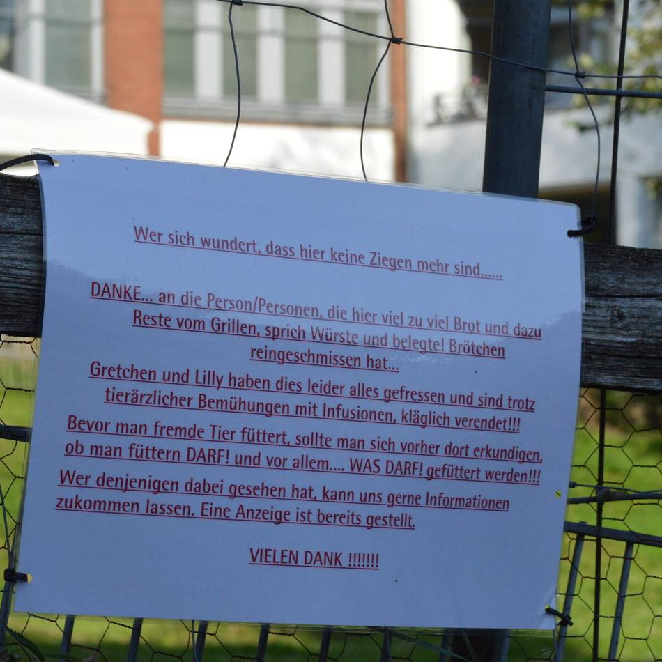 Tragödie im Seniorenpark in Wermelskirchen: Passanten für Tod zweier Ziegen verantwortlich
