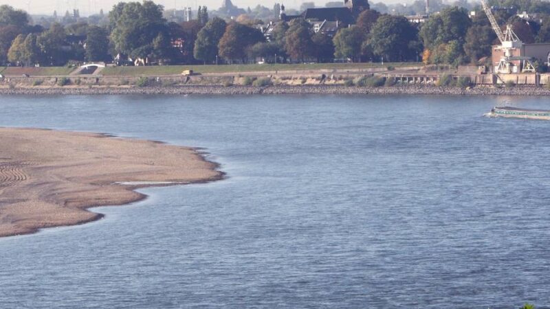 Nach Verbot auch in Meerbusch: Krefeld noch immer ohne Entscheidung zum Rhein-Badeverbot