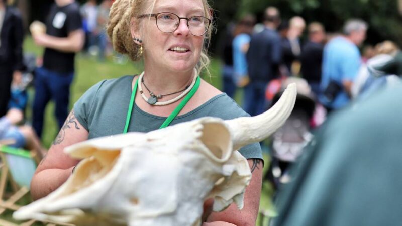 Mehrere tausend Menschen kommen zum Sommerfest des Neanderthal Museums: Von Dickschädeln und Feuersteinen