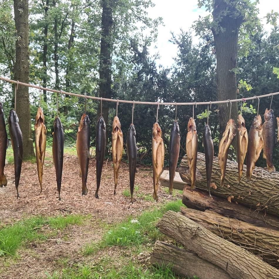 Forellen und Vereinsidylle:  Angelsportverein lädt zum Grill- und Räucherfest in der Vossheide ein