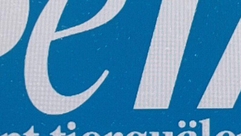 Serientäter in Langenfeld und Monheim: Kaninchen Pfoten abgeschnitten – Peta setzt Belohnung aus