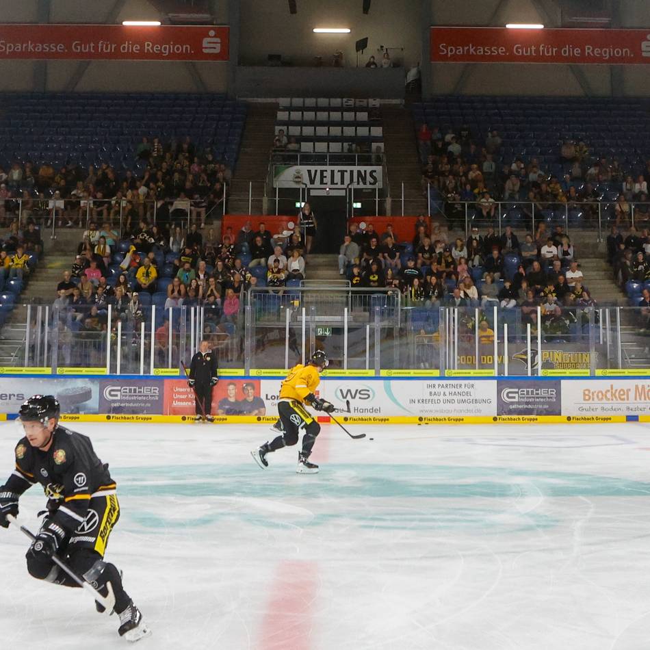 Erste Einheit vor Fans: Schmerzhafte Rückkehr aufs Eis für die Krefeld Pinguine