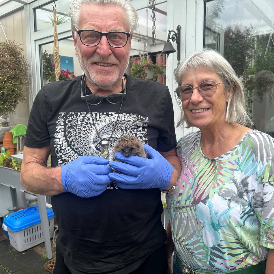Wildtiere in Meerbusch: Wo Igelbabys einen Namen haben