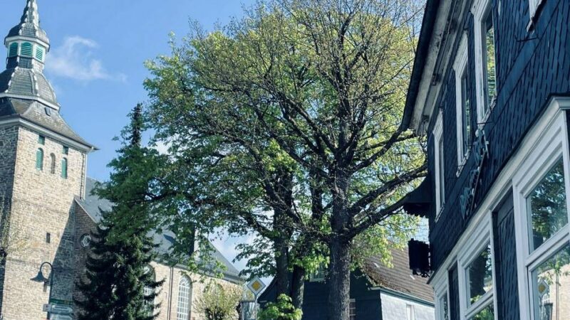 Volkshochschule Bergisches Land: Planwagenfahrt mit Bergischer Kaffeetafel