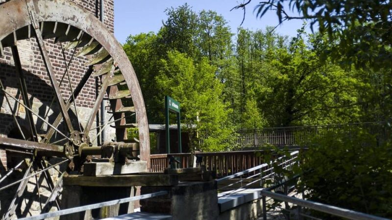 Von Konzert bis Radtour: Lüttelforst feiert zum 14. Mal seine Natur- und Kulturtage