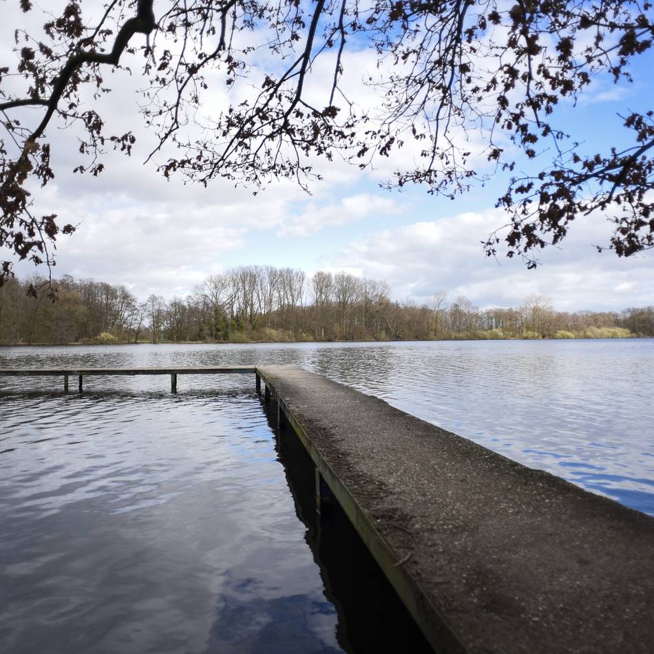 Ein Tag am See: De Wittsee: Erholung, Wandern und Wassersport am De Wittsee