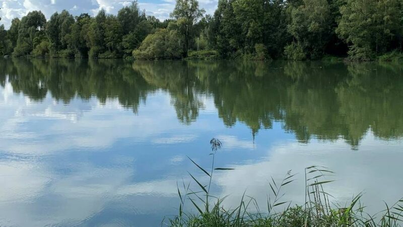 Ein Tag am See: Borner See: Wandern am Borner See