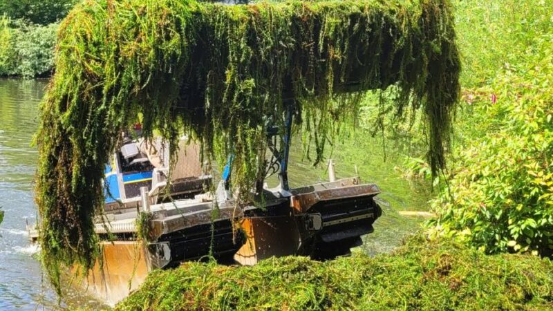 Stadtparkteich in Hückeswagen: Mähboot bekämpft die Wasserpest
