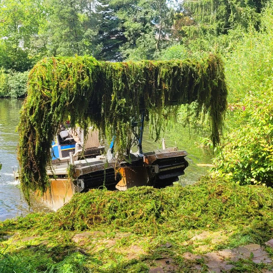 Stadtparkteich in Hückeswagen: Mähboot bekämpft die Wasserpest