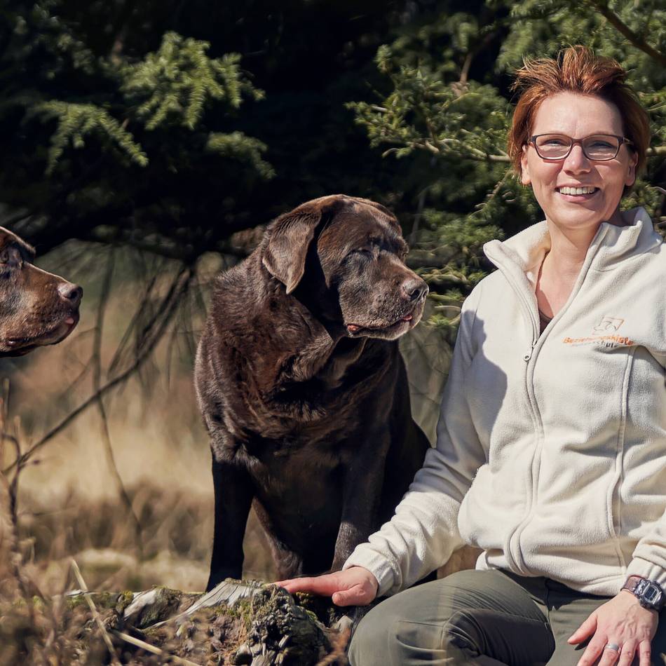 Kolumne Tipps von Pfotenprofis: Den Hund auf den Tierarztbesuch vorbereiten
