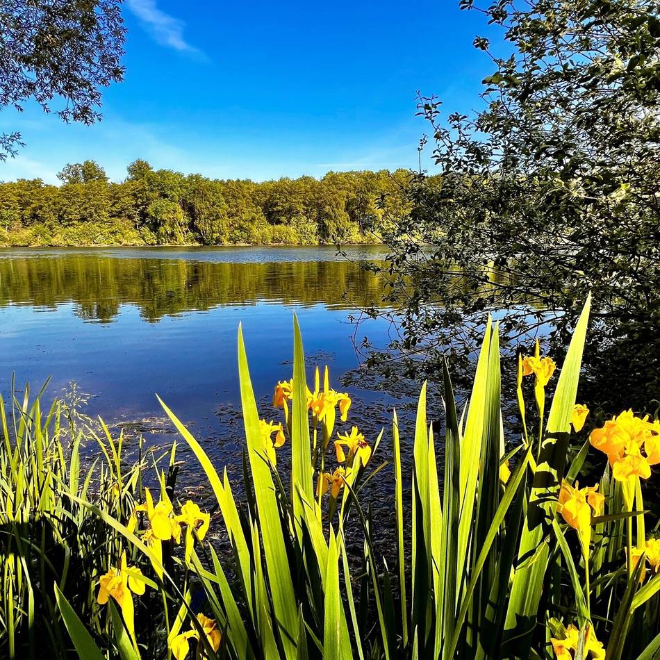 Ein Tag am See: Breyeller Seen: Wandern an den Breyeller Seen