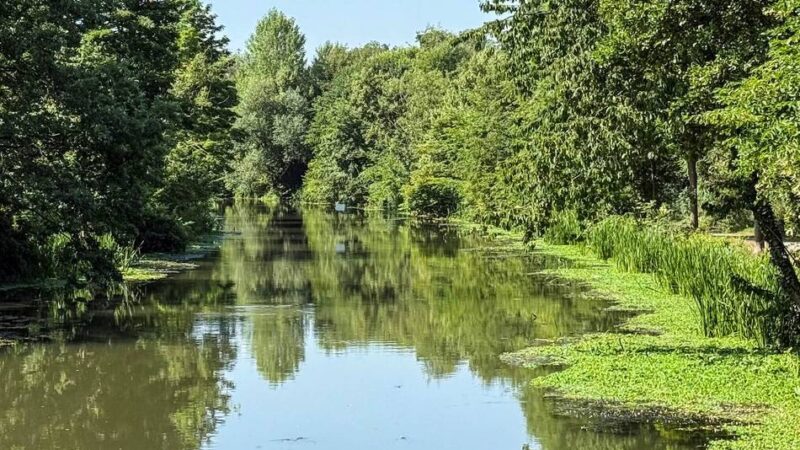 Noch freie Plätze: Interessierte können auf dem Rad die Erft erkunden