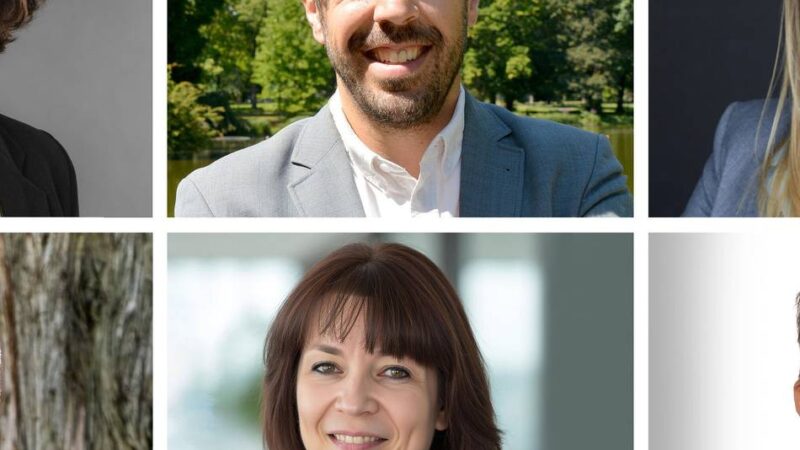 Bewerber fürs Landratsamt im Rhein-Kreis Neuss: Rhein-Kreis sucht Chef/-in
