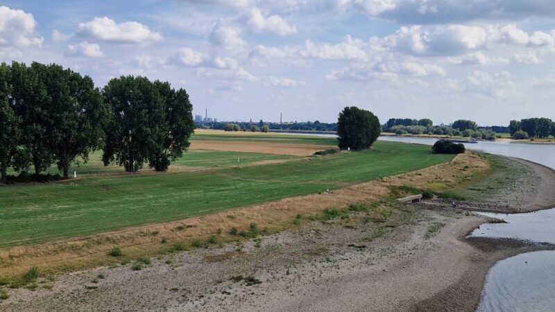 Nach tödlichen Unfällen: Löst ein künstlicher See in Düsseldorf das Badeproblem im Rhein?