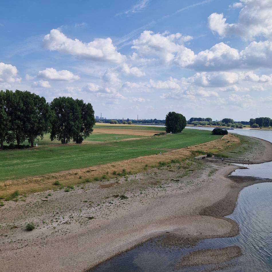 Nach tödlichen Unfällen: Löst ein künstlicher See in Düsseldorf das Badeproblem im Rhein?