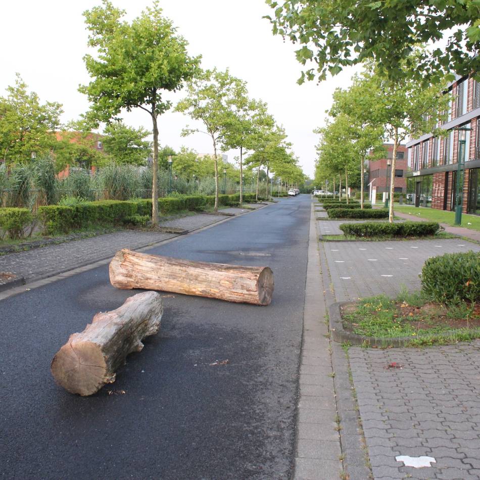 Gießerallee in Willich: Unbekannte blockieren Straße mit Baumstämmen