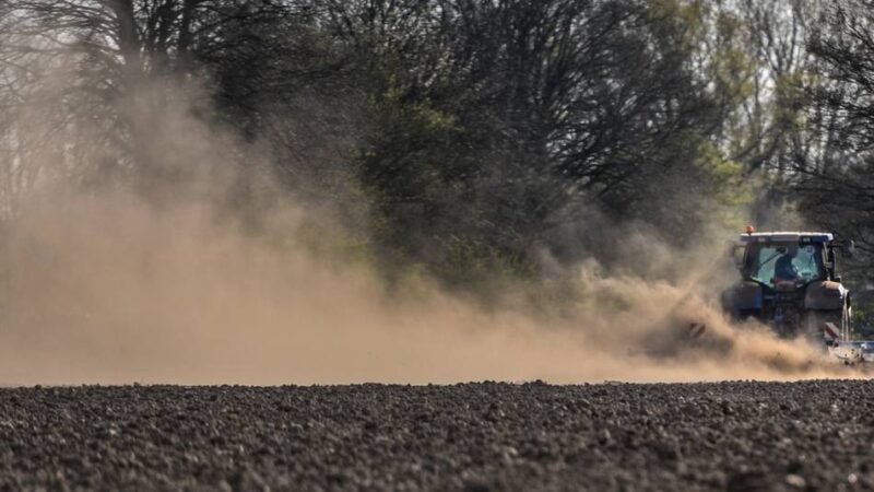 Jahresarbeitszeit im Kreis Kleve: Landwirte arbeiten acht Wochen im Jahr mehr als Dienstleister