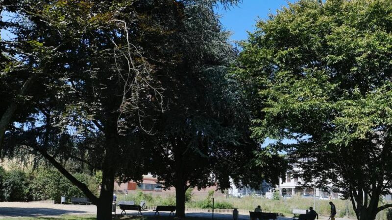 In der Ratinger Innenstadt: SPD fordert Umsetzung des Mehrgenerationenparks