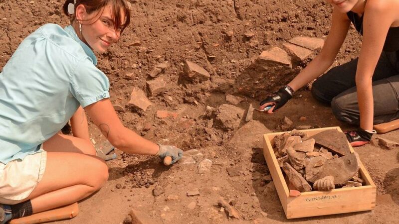 Archäologische Sommerakademie in Xanten: Erdschicht für Erdschicht zu mehr Wissen